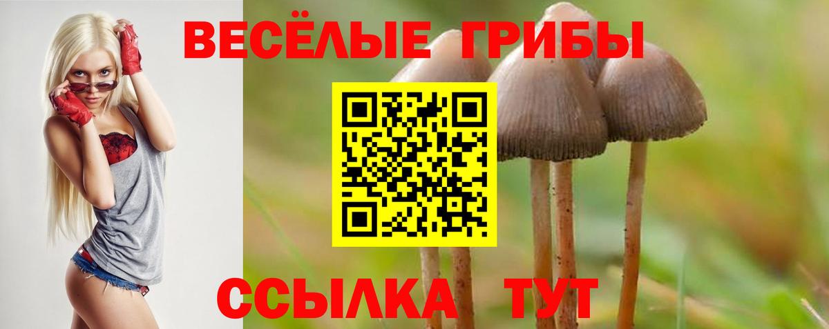 Чапаевск  Псилоцибиновые грибы ЛСД  наркошоп  Вход с VPN  Галлюциногенные грибы мицелий 