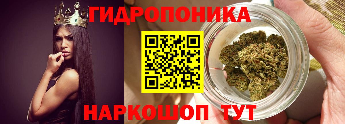 Каннабис VHQ  Бошки Шишки THC 21%  Вход с VPN  Чапаевск  Шишки марихуана гибрид 
